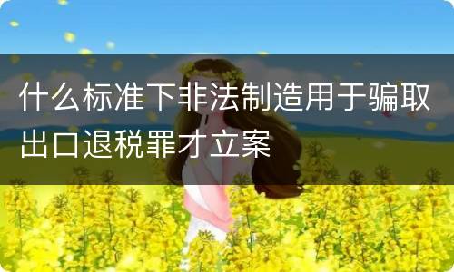 什么标准下非法制造用于骗取出口退税罪才立案