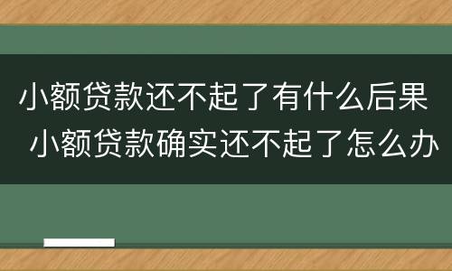 小额贷款还不起了有什么后果 小额贷款确实还不起了怎么办
