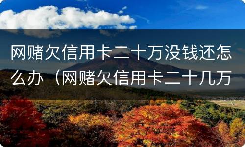 网赌欠信用卡二十万没钱还怎么办（网赌欠信用卡二十几万）