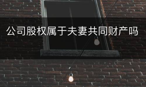 公司股权属于夫妻共同财产吗