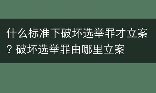 什么标准下破坏选举罪才立案? 破坏选举罪由哪里立案