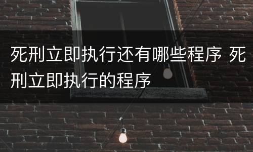 死刑立即执行还有哪些程序 死刑立即执行的程序