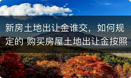 新房土地出让金谁交，如何规定的 购买房屋土地出让金按照什么标准收