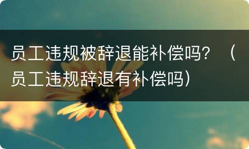 员工违规被辞退能补偿吗？（员工违规辞退有补偿吗）
