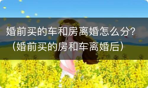 婚前买的车和房离婚怎么分？（婚前买的房和车离婚后）