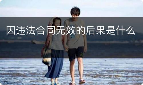 因违法合同无效的后果是什么