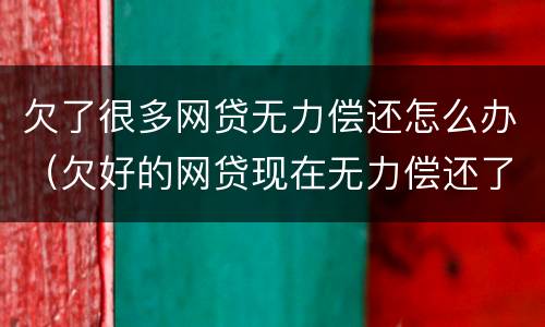 欠了很多网贷无力偿还怎么办（欠好的网贷现在无力偿还了怎么办啊）