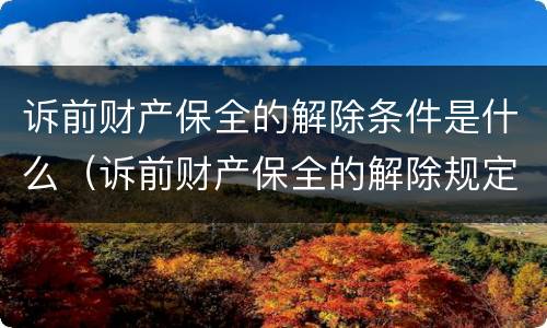 诉前财产保全的解除条件是什么（诉前财产保全的解除规定）