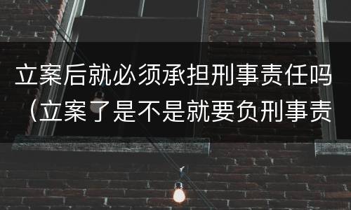 立案后就必须承担刑事责任吗（立案了是不是就要负刑事责任）