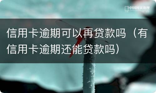 信用卡逾期可以再贷款吗（有信用卡逾期还能贷款吗）