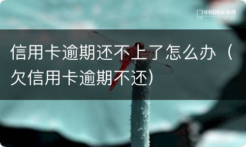 信用卡逾期还不上了怎么办（欠信用卡逾期不还）