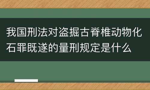 我国刑法对盗掘古脊椎动物化石罪既遂的量刑规定是什么