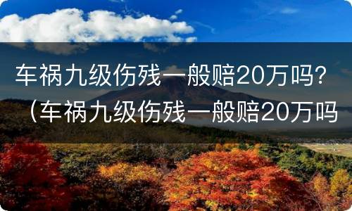 车祸九级伤残一般赔20万吗？（车祸九级伤残一般赔20万吗多少）
