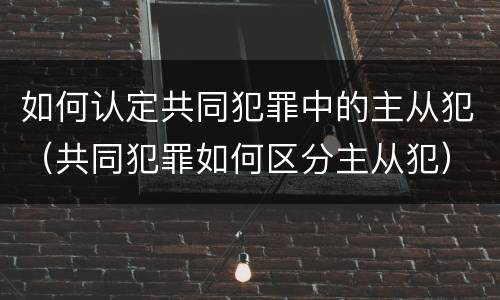 如何认定共同犯罪中的主从犯（共同犯罪如何区分主从犯）