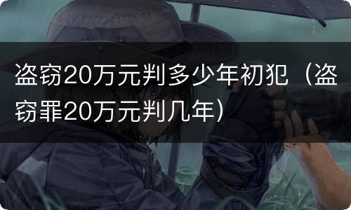 盗窃20万元判多少年初犯（盗窃罪20万元判几年）