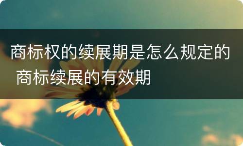 商标权的续展期是怎么规定的 商标续展的有效期