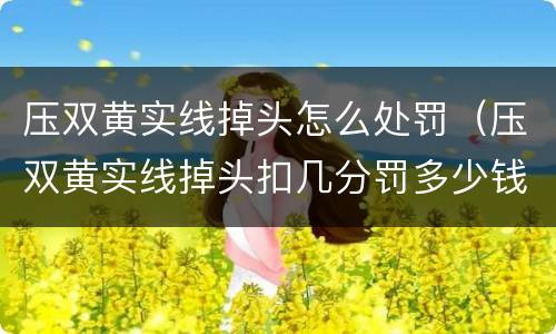 压双黄实线掉头怎么处罚（压双黄实线掉头扣几分罚多少钱）
