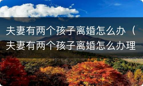 夫妻有两个孩子离婚怎么办（夫妻有两个孩子离婚怎么办理）