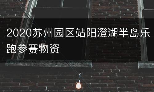 2020苏州园区站阳澄湖半岛乐跑参赛物资