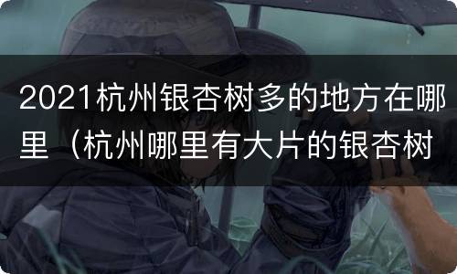 2021杭州银杏树多的地方在哪里（杭州哪里有大片的银杏树）