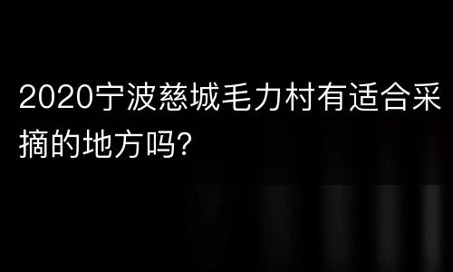 2020宁波慈城毛力村有适合采摘的地方吗？