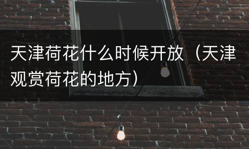 天津荷花什么时候开放（天津观赏荷花的地方）