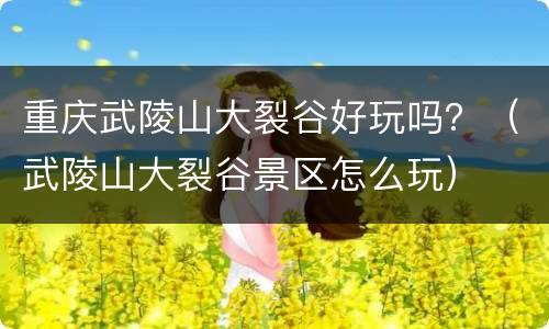 重庆武陵山大裂谷好玩吗？（武陵山大裂谷景区怎么玩）