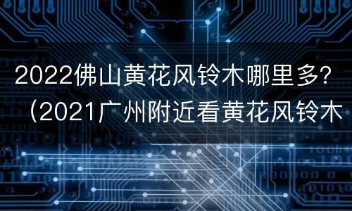 2022佛山黄花风铃木哪里多？（2021广州附近看黄花风铃木）