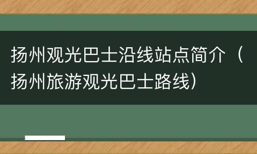 扬州观光巴士沿线站点简介（扬州旅游观光巴士路线）