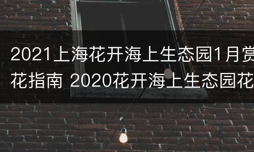 2021上海花开海上生态园1月赏花指南 2020花开海上生态园花期表