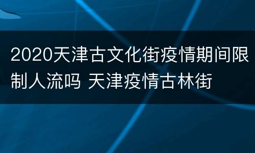 2020天津古文化街疫情期间限制人流吗 天津疫情古林街