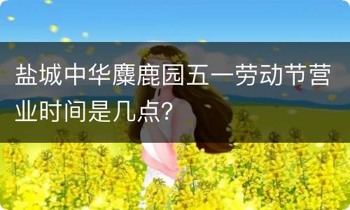 盐城中华麋鹿园五一劳动节营业时间是几点？