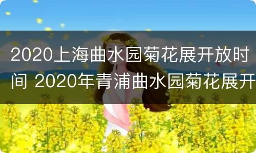 2020上海曲水园菊花展开放时间 2020年青浦曲水园菊花展开放时间