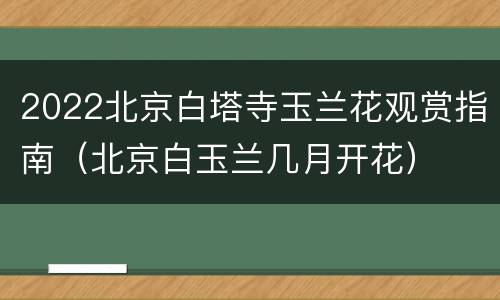 2022北京白塔寺玉兰花观赏指南（北京白玉兰几月开花）
