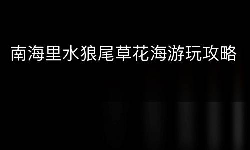 南海里水狼尾草花海游玩攻略