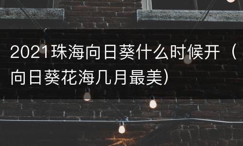 2021珠海向日葵什么时候开（向日葵花海几月最美）
