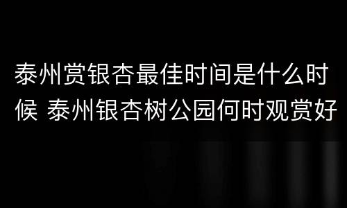 泰州赏银杏最佳时间是什么时候 泰州银杏树公园何时观赏好