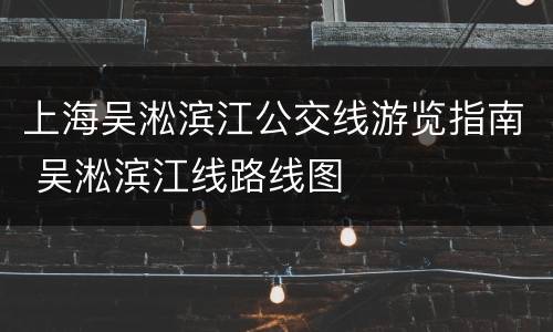 上海吴淞滨江公交线游览指南 吴淞滨江线路线图