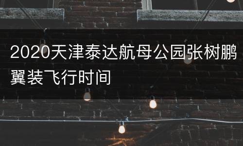 2020天津泰达航母公园张树鹏翼装飞行时间