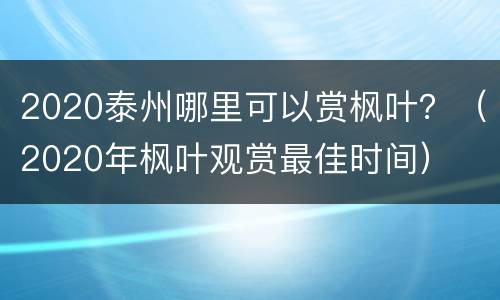 2020泰州哪里可以赏枫叶？（2020年枫叶观赏最佳时间）