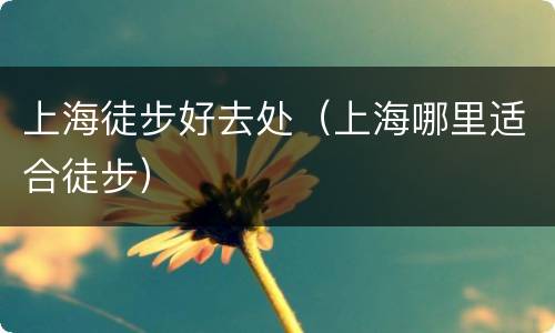 上海徒步好去处（上海哪里适合徒步）