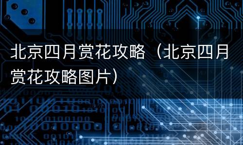 北京四月赏花攻略（北京四月赏花攻略图片）