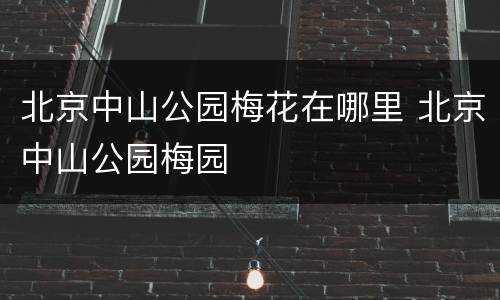 北京中山公园梅花在哪里 北京中山公园梅园