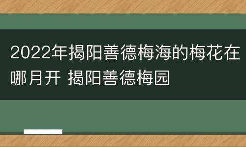 2022年揭阳善德梅海的梅花在哪月开 揭阳善德梅园