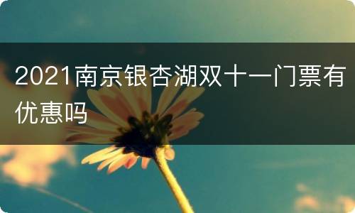 2021南京银杏湖双十一门票有优惠吗