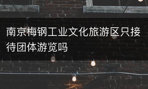 南京梅钢工业文化旅游区只接待团体游览吗