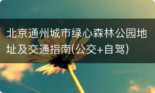 北京通州城市绿心森林公园地址及交通指南(公交+自驾)