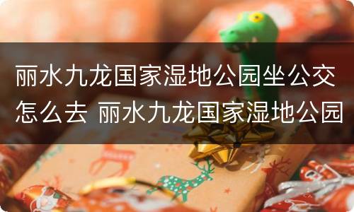丽水九龙国家湿地公园坐公交怎么去 丽水九龙国家湿地公园公交车