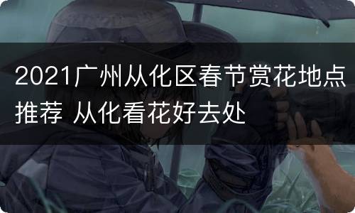 2021广州从化区春节赏花地点推荐 从化看花好去处