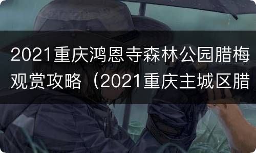 2021重庆鸿恩寺森林公园腊梅观赏攻略（2021重庆主城区腊梅观赏地方）